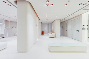 میکروسمنت هایکا