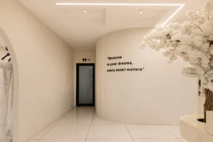 میکروسمنت هایکا