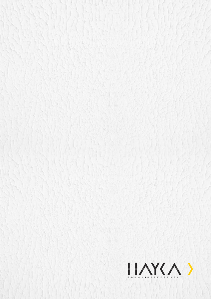 کاتالوگ تخصصی محصولات هایکا