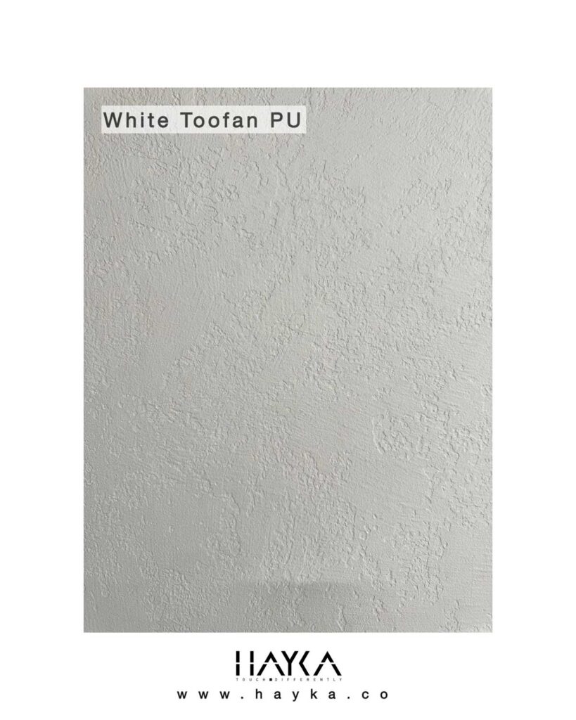 تکسچر و رنگ میکروسمنت هایکا