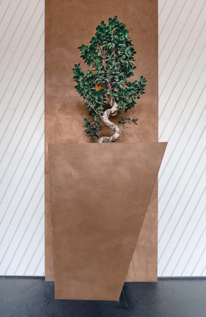 پروژه میکروسمنت آندو هایکا